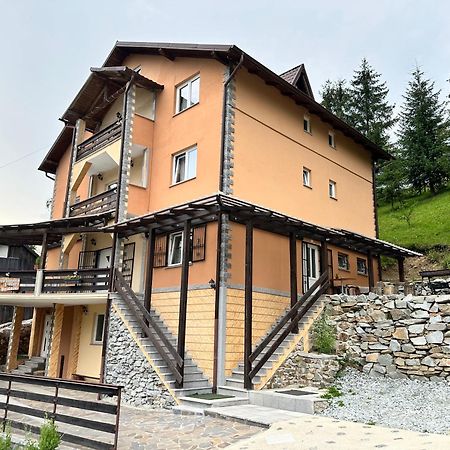Pensiunea 3Flori De Colt Hotel Borsa Kültér fotó