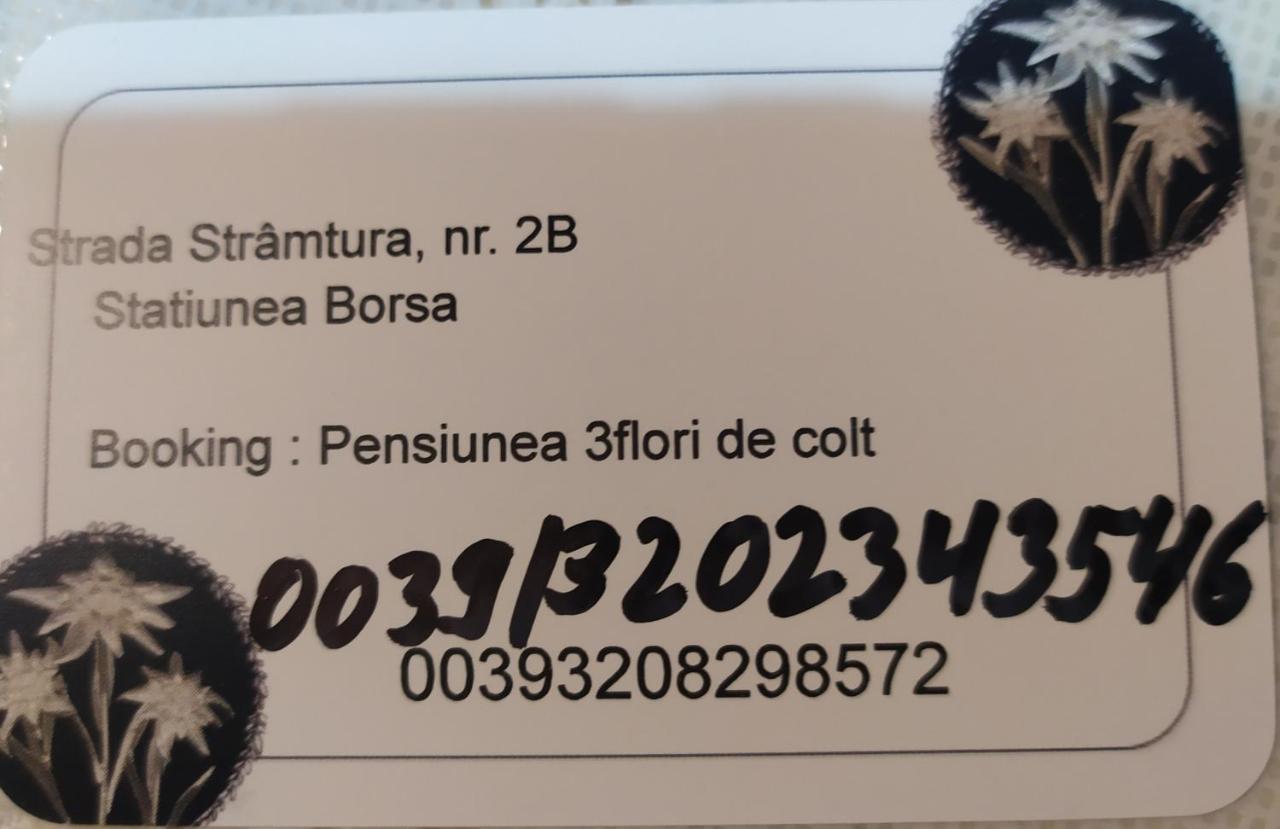 Pensiunea 3Flori De Colt Hotel Borsa Kültér fotó