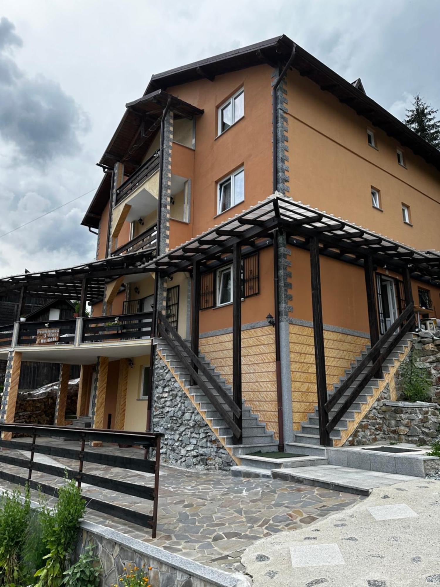 Pensiunea 3Flori De Colt Hotel Borsa Kültér fotó